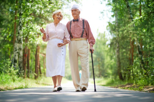31233600 - senior couple walking in park
